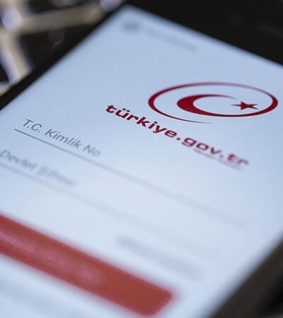 Şikayetçi Oldum, Dosyam e-Devlet’te Görünmüyor: Ne Yapmalıyım?